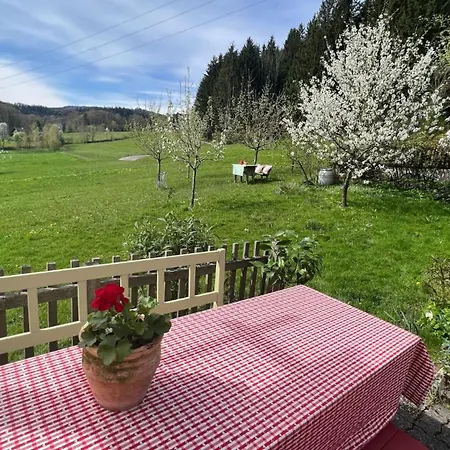 Apartmán Seelennest Falkensteiner Nussdorf am Attersee
