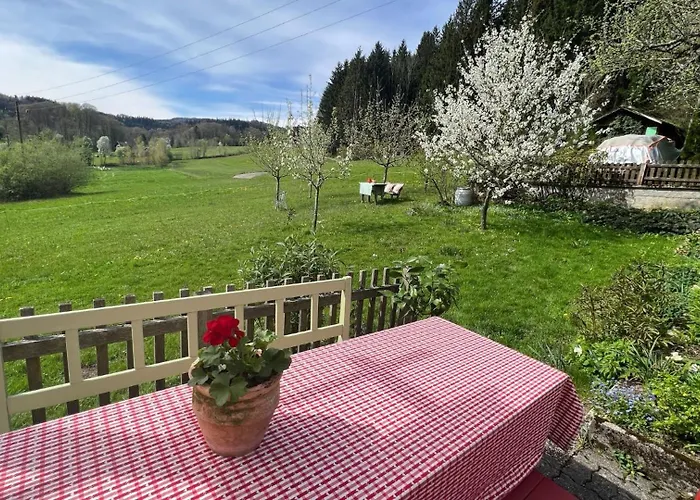 Apartamento Seelennest Falkensteiner Nussdorf am Attersee